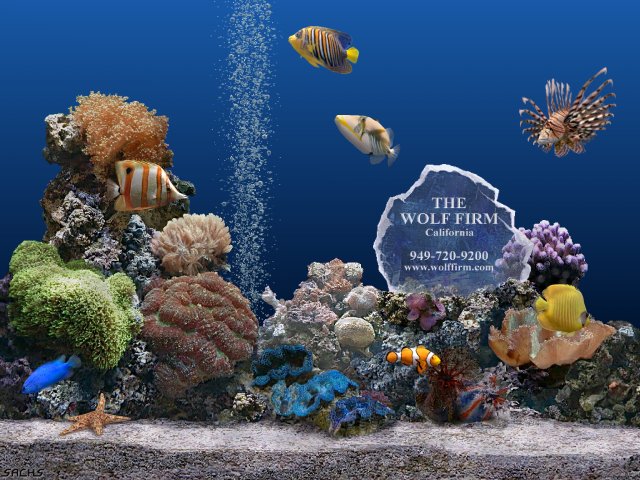 virtual aquarium wallpaper virtual aquarium wallpaper